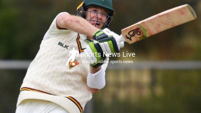 Paine and Bird boost Tasmania in Shield